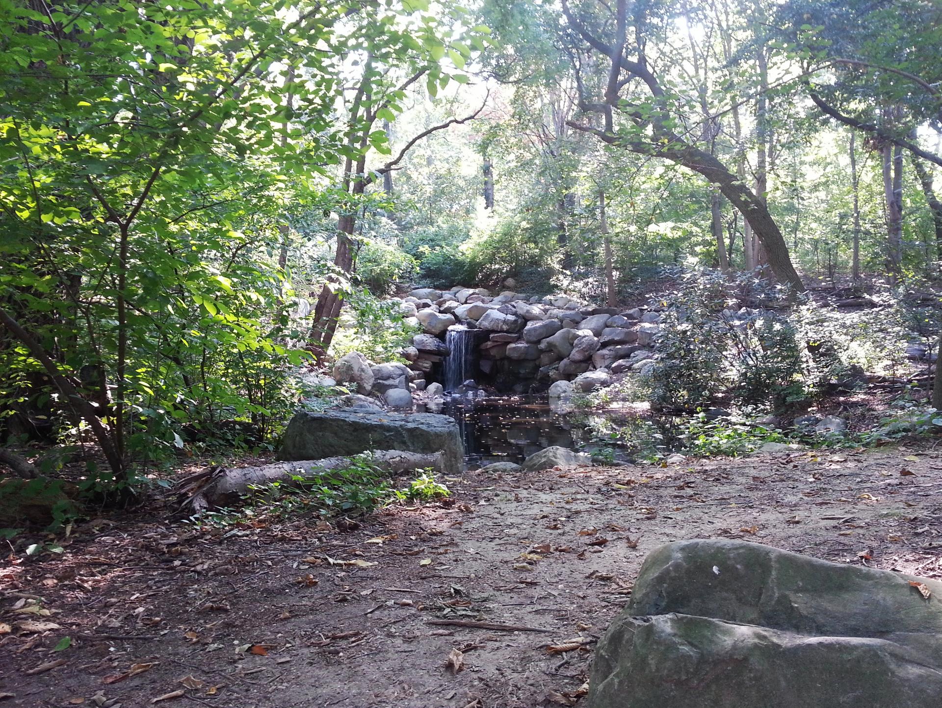 Small waterfall cascading over rocks in a lush, sun-dappled forest.