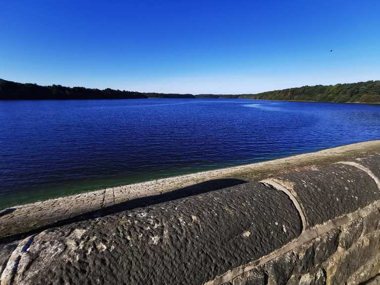 Eccup Reservoir and Breary Marsh Nature Reserve loop from Golden Acre