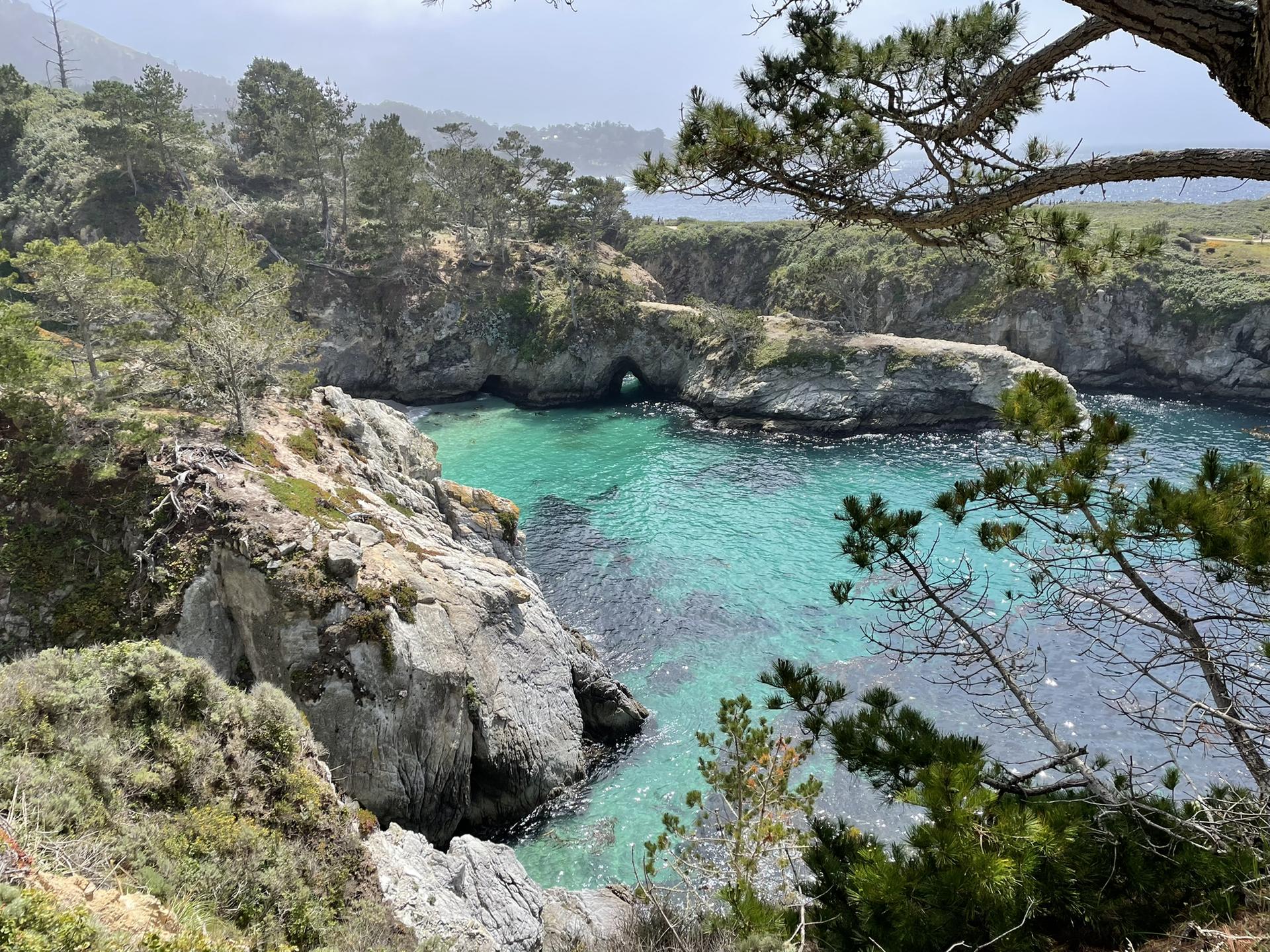 Turquoise cove with rocky cliffs and a natural arch, framed by green trees.