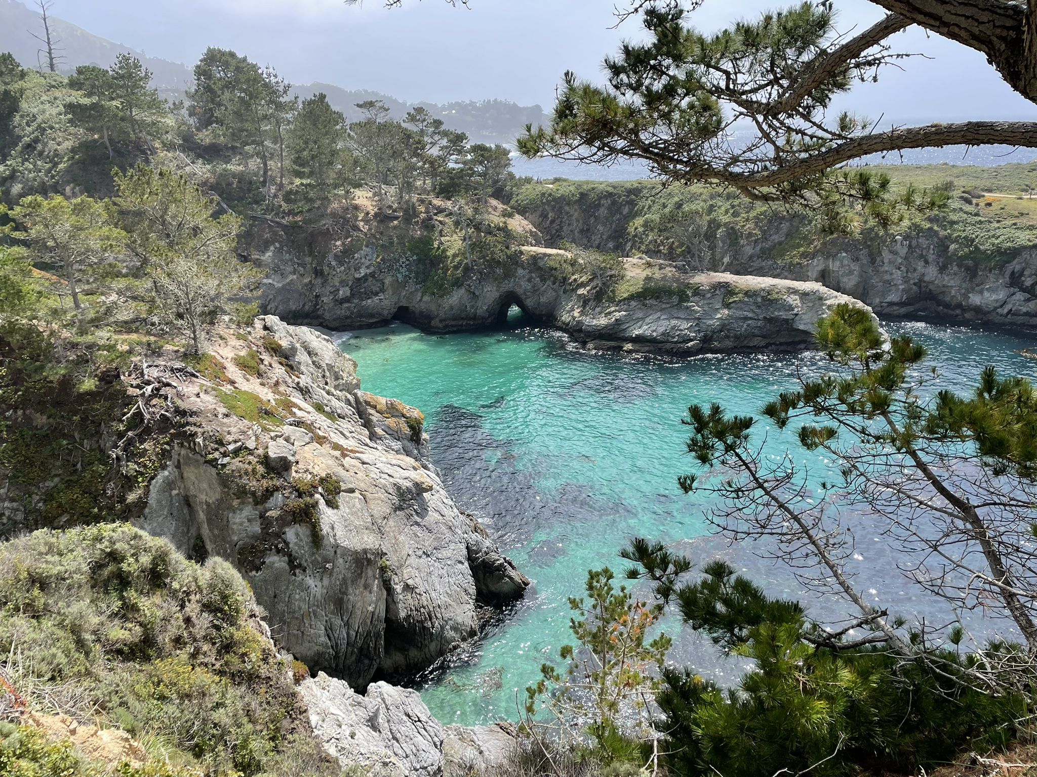 Turquoise cove with rocky cliffs and a natural arch, framed by green trees. - China Cove Loop