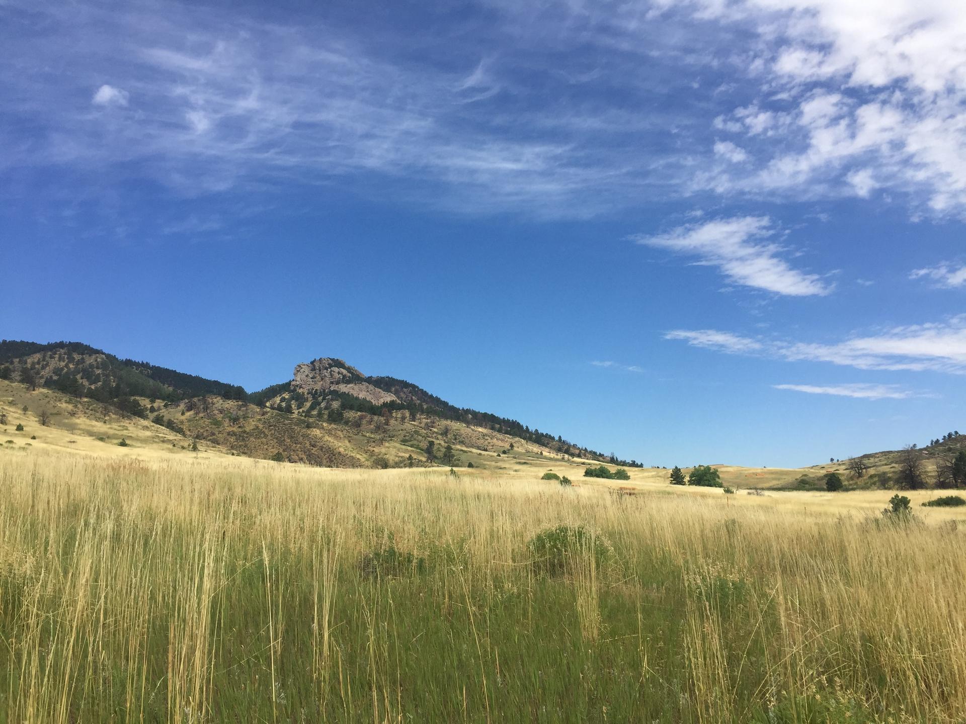 Golden grassy field with distant mountains under a bright blue sky.