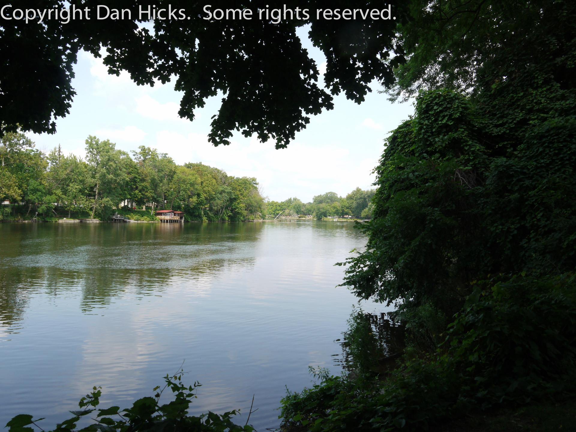 Calm lake framed by dark green leaves, with distant trees under a bright sky.