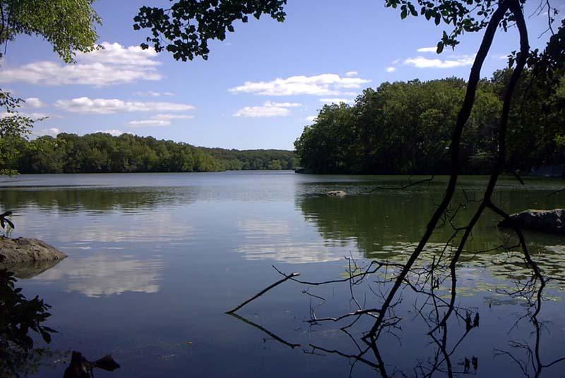 Calm lake reflecting trees and clouds, framed by dark branches.