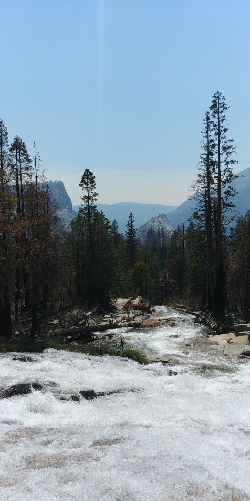 Rushing river in a forest with distant mountains under a clear sky.