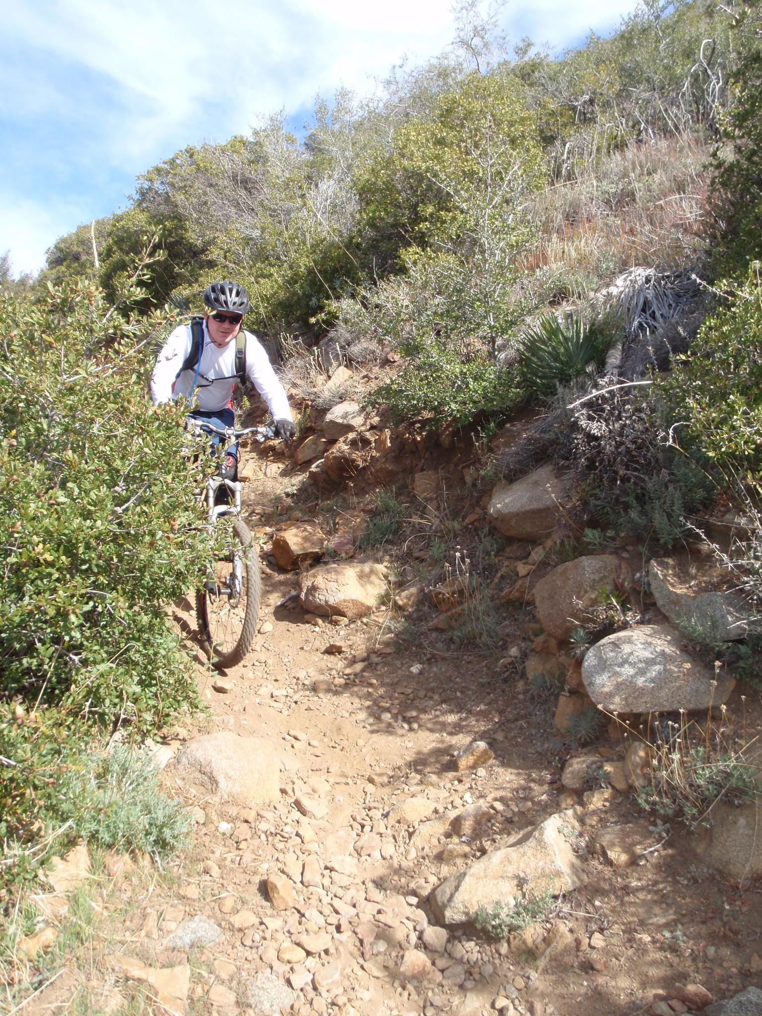 Man on mountain bike navigating a rocky, bushy trail on a sunny day.