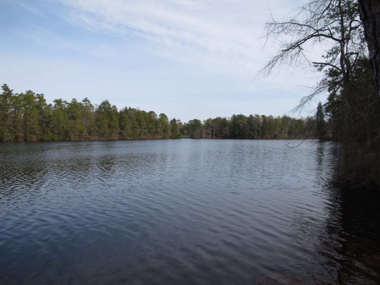 Calm lake surrounded by dense green forest under a partly cloudy sky. - Pink Trail and Meisle Road Loop