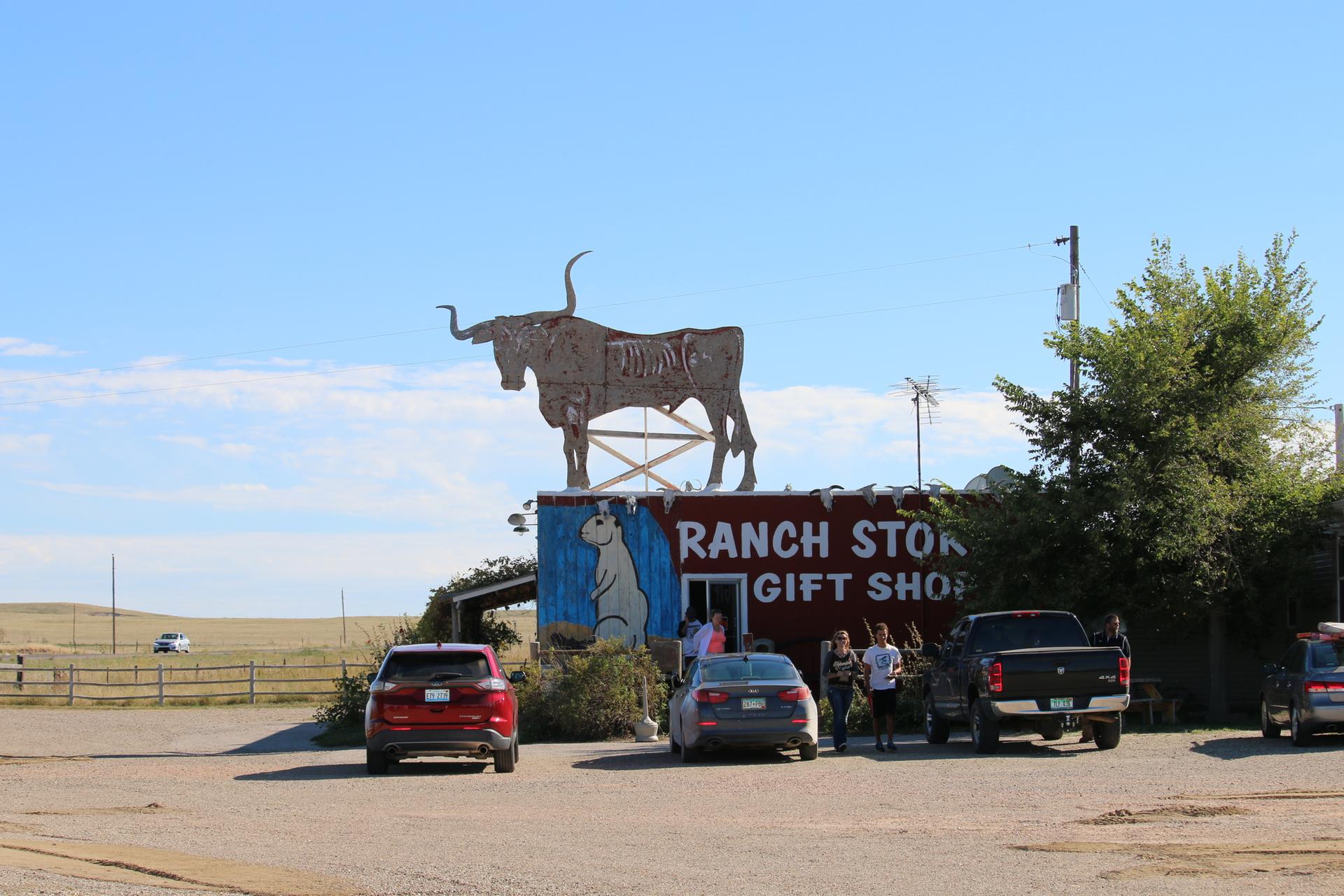 Large bull sculpture atop a gift shop with cars and people under bright sky.