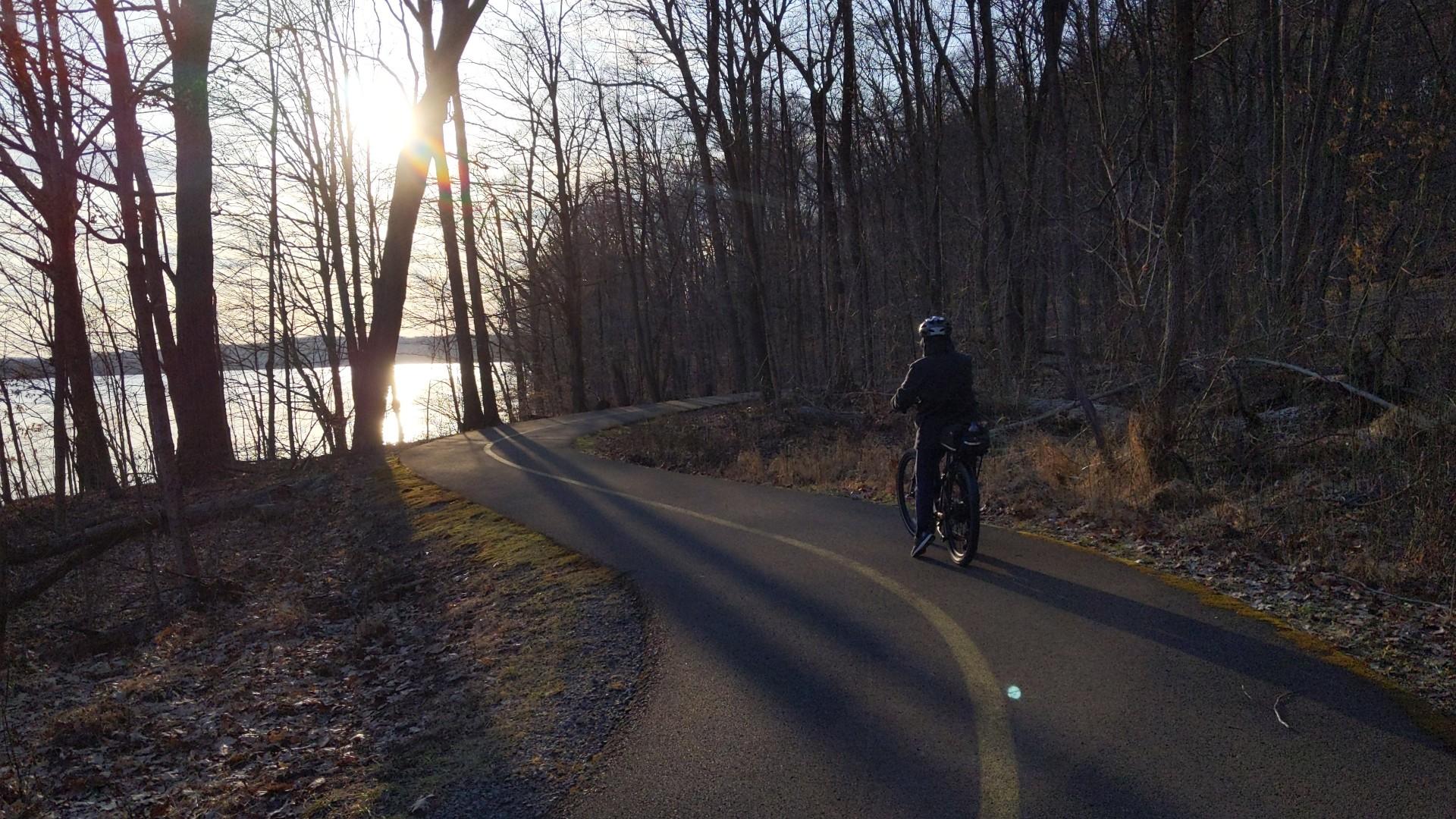 Cyclist on a paved path beside a lake at sunset through bare trees.