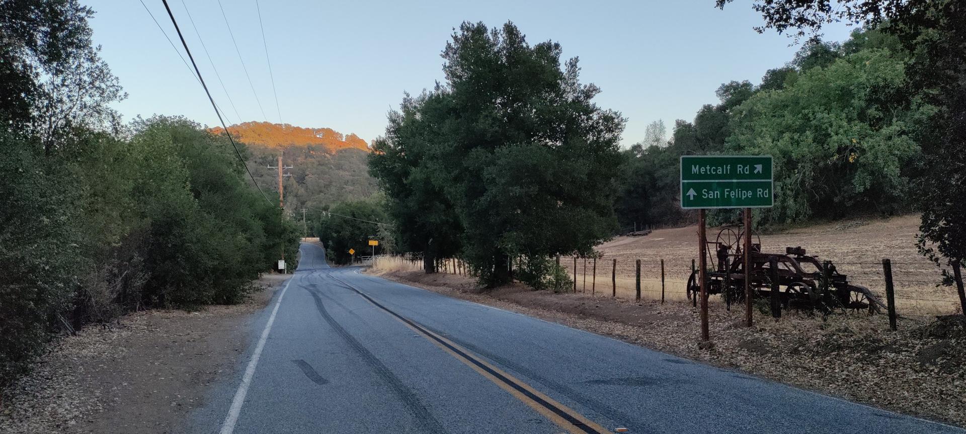 A paved road winding through trees with a road sign at dusk.