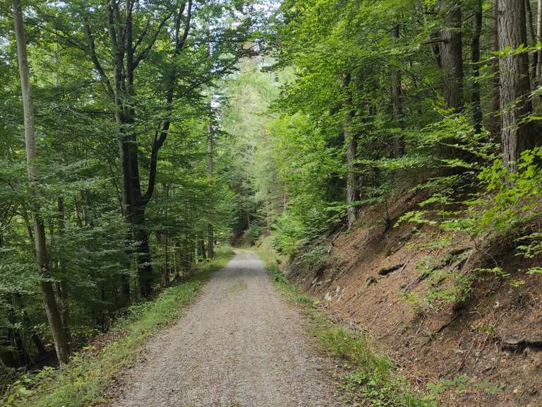 Naturpark Schönbuch Wanderungen Und Rundwege Komoot