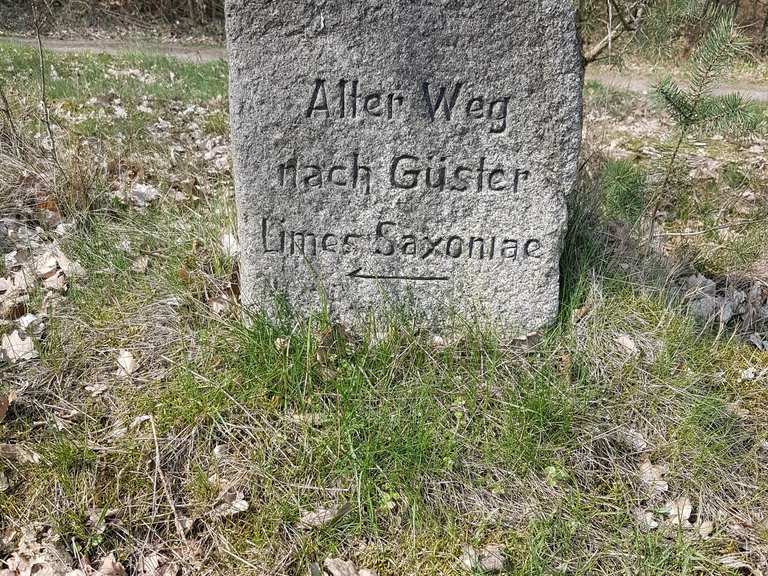 Gedenkstein Limes Saxoniae bei Hornbek Wanderungen und Rundwege komoot