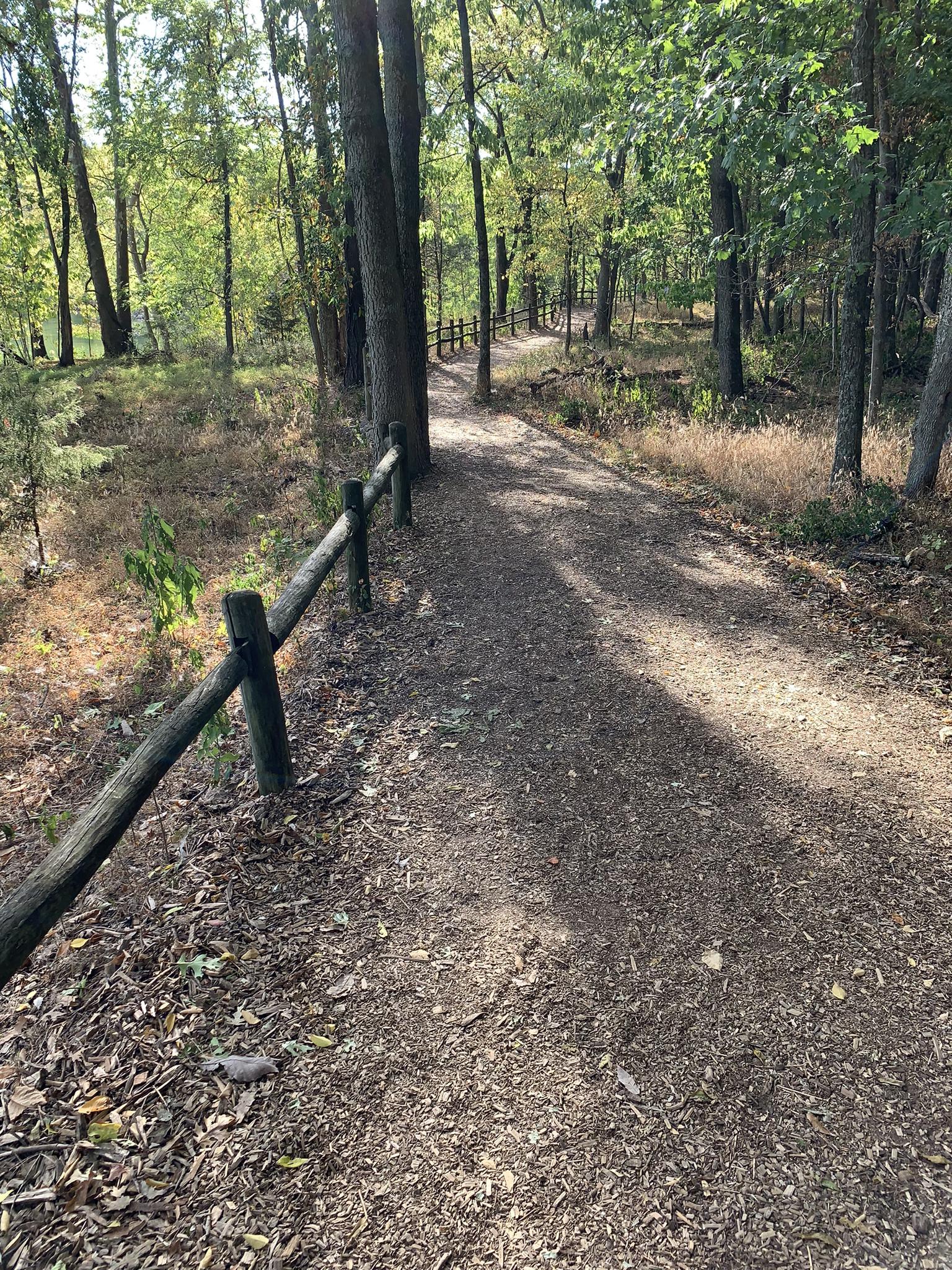 A winding dirt path with a wooden fence through a sunlit forest.