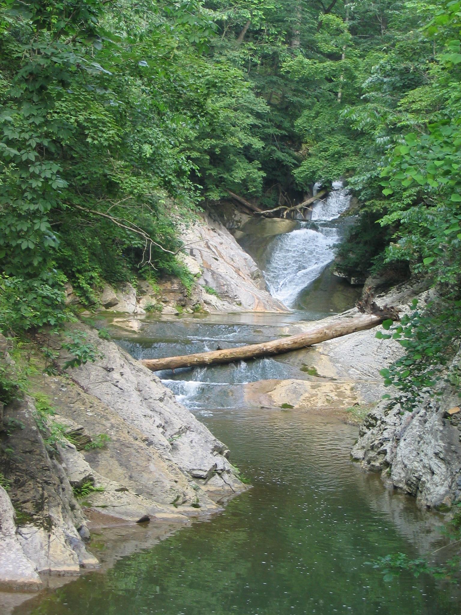 Lush green forest surrounds a multi-tiered waterfall and rocky stream.