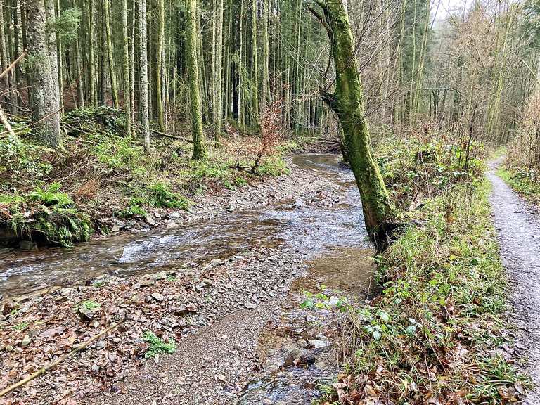 Uriges Linnefetal Wanderungen und Rundwege komoot