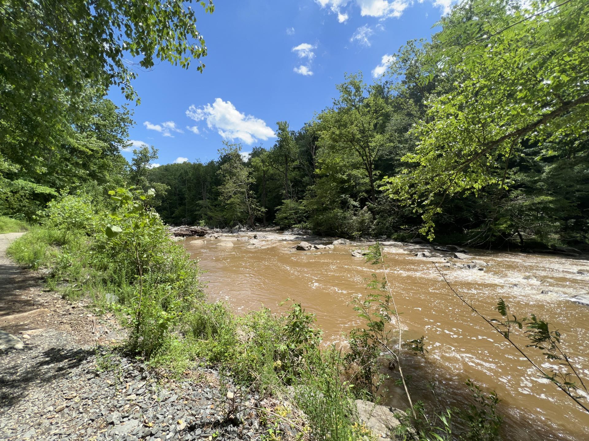 A wide, muddy river flows past a green, forested bank under a blue sky.