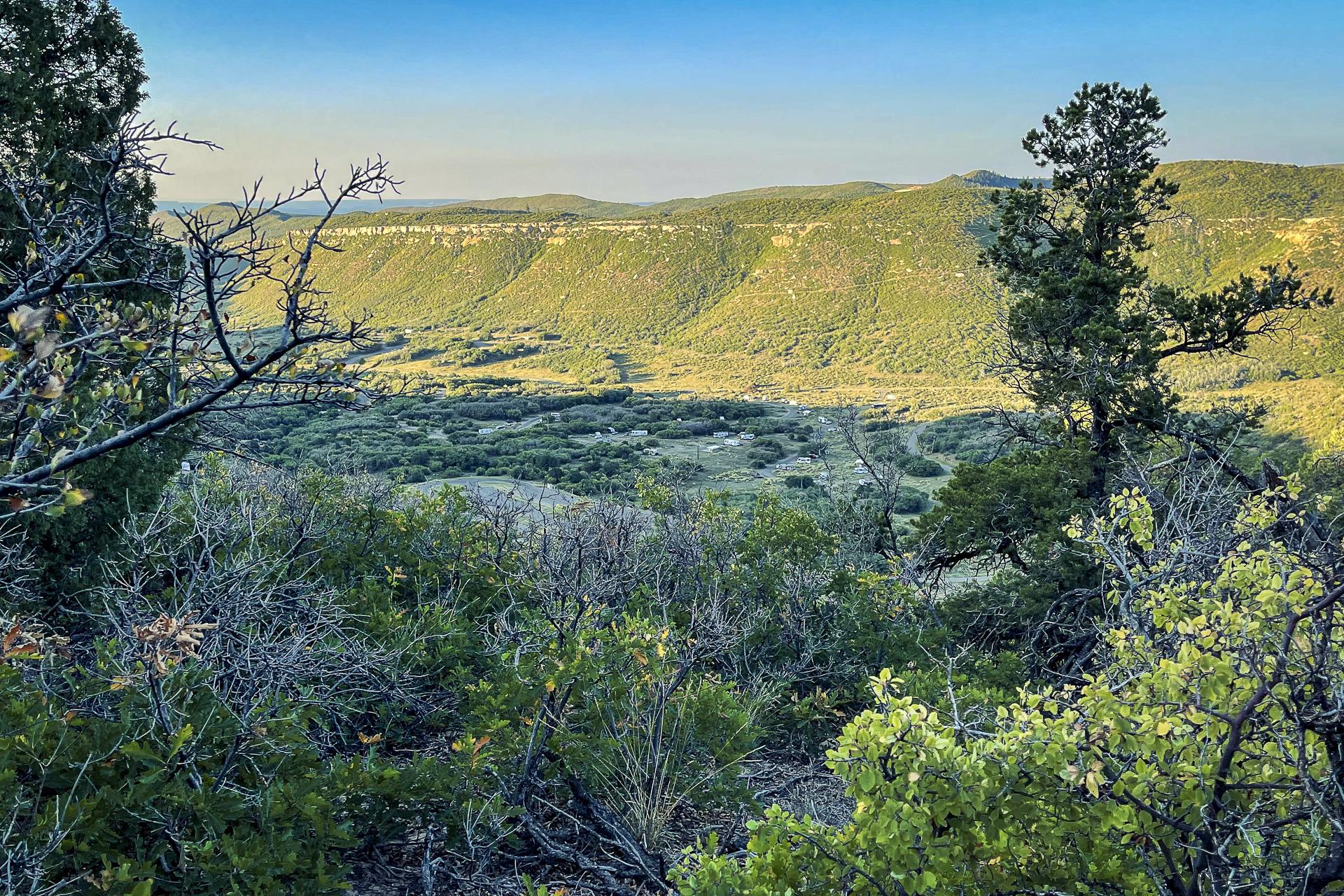 Sunny view of a green valley and distant mesas through foreground trees.