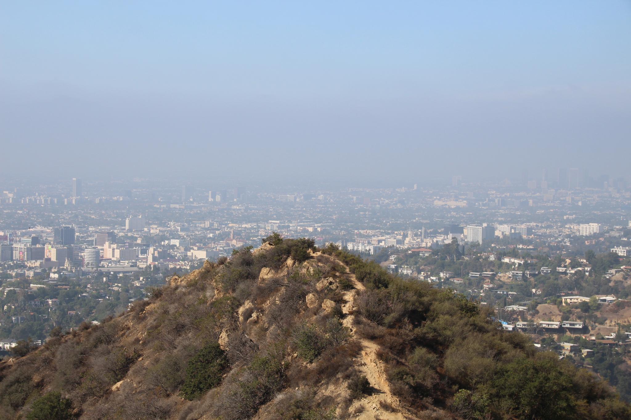 A rocky, brush-covered hilltop overlooks a hazy distant city skyline.