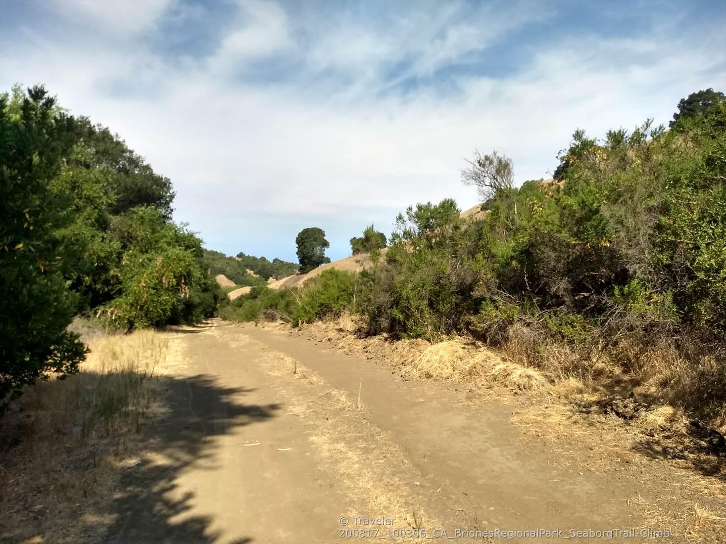 A winding dirt path through dry grass and green trees on a sunny day.