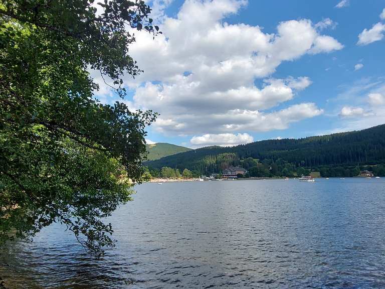 Eisweiher Blick auf den Titisee Runde von Titisee Wanderung Komoot