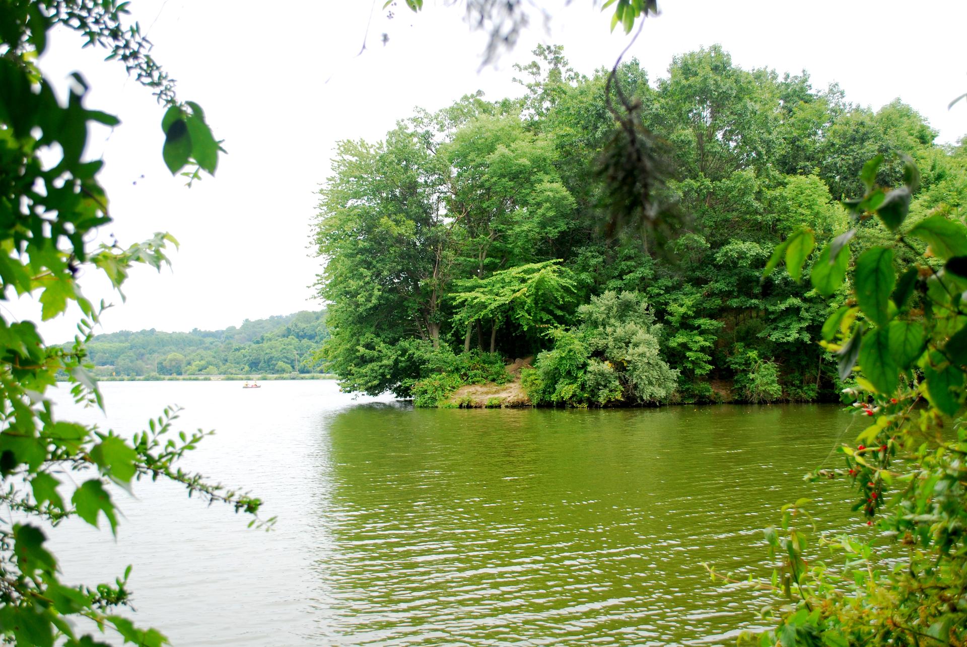 A calm lake with a lush green, tree-covered island under bright skies.