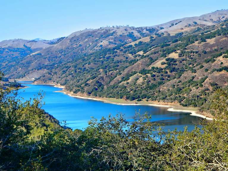 Harvey Bear, Calaveras, Coyote Ridge and Willow Springs Loop ...
