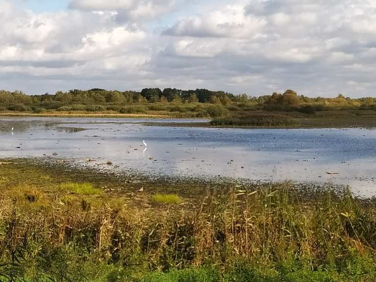 Meißendorfer Moor fietsroutes en kaart Komoot