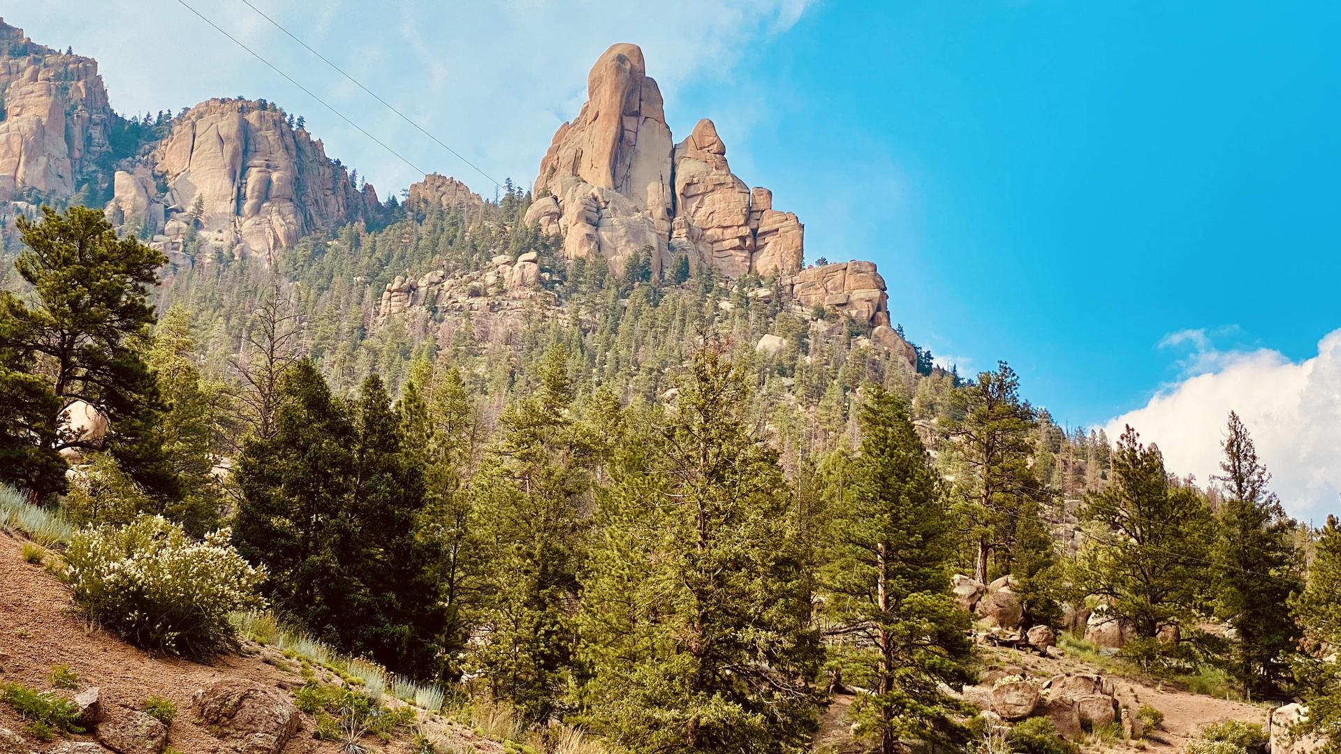 Majestic rocky peaks rise above a dense pine forest under a clear blue sky.