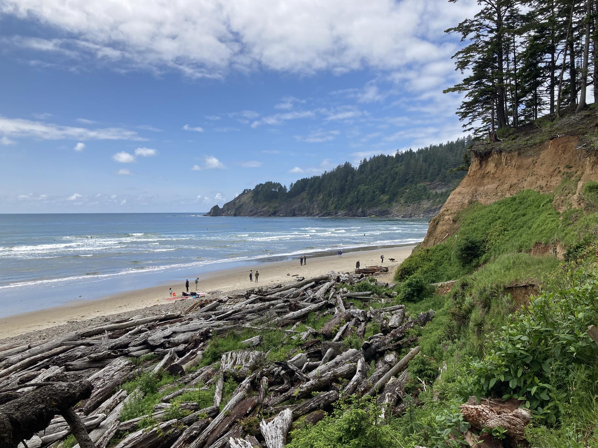 Sunny beach with driftwood, people, ocean waves, and a forested cliff.