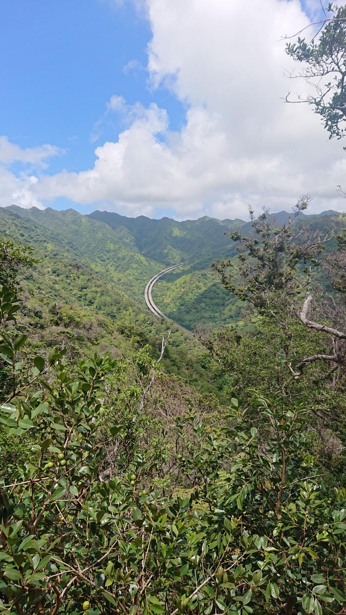Winding road through verdant, forested mountains, seen from above through foliage.