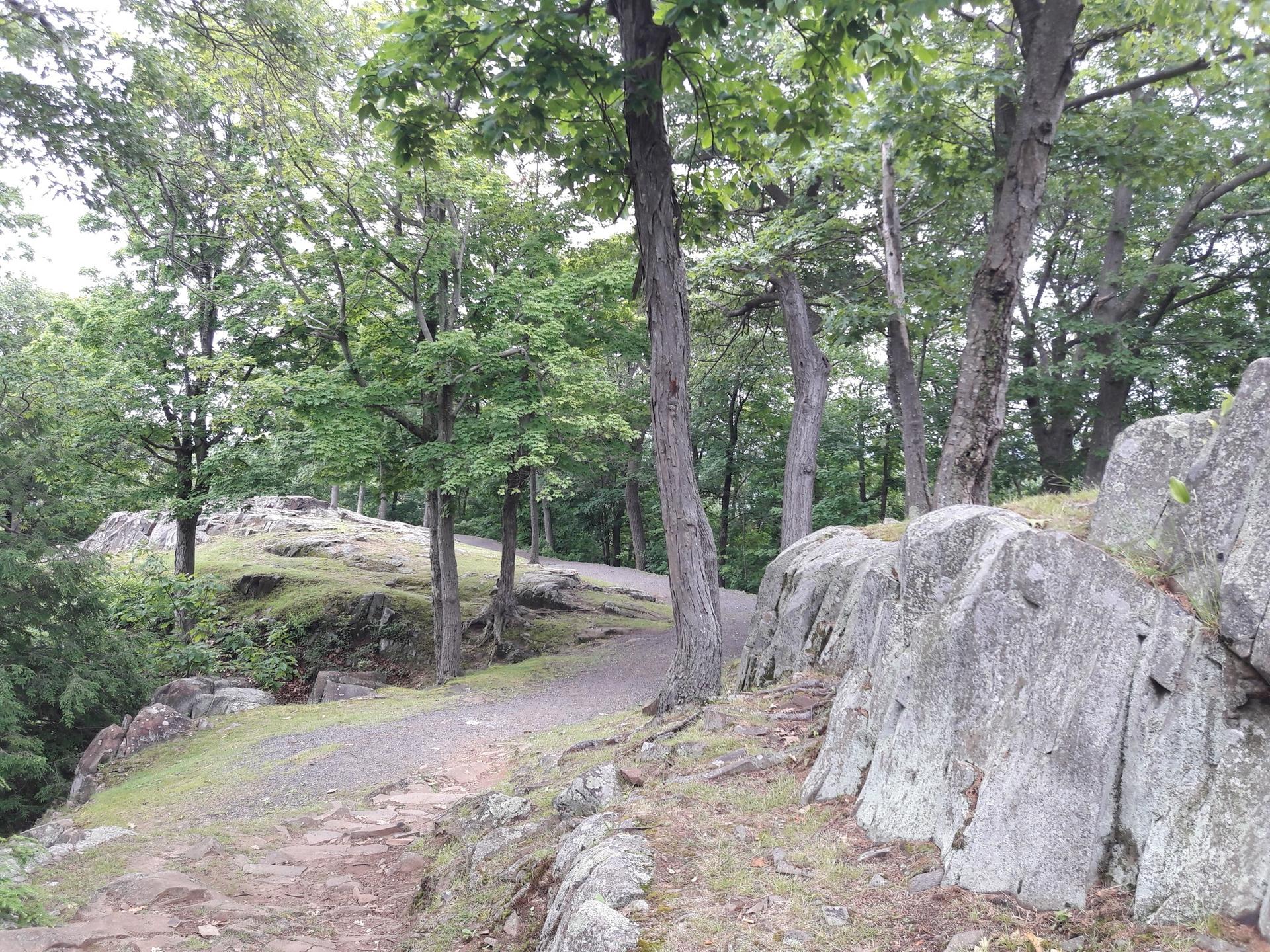 Forest path with large rocks and green trees, dappled sunlight.