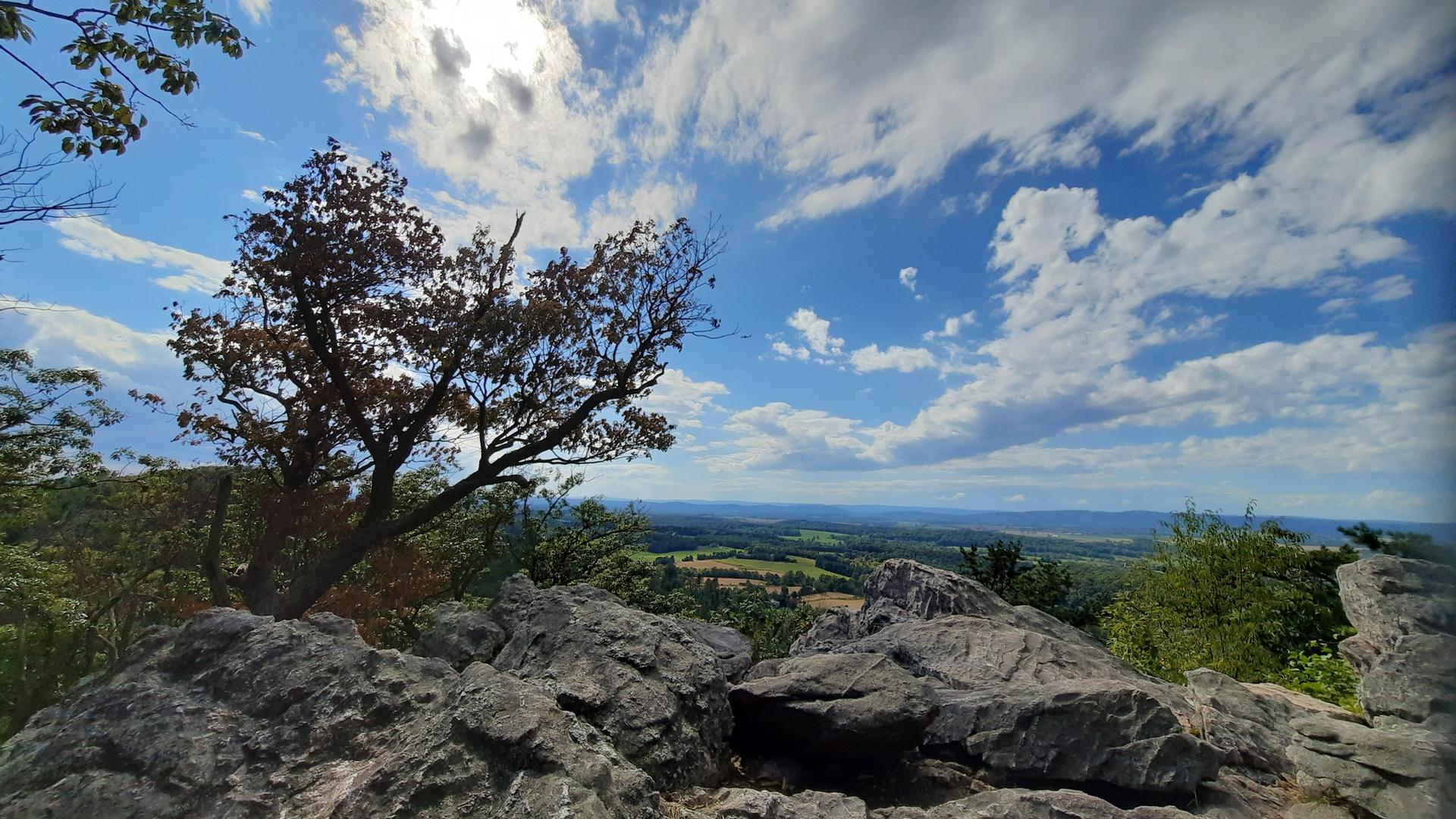 Rocky mountain top with a lone tree, sunlit sky, and distant green landscape.