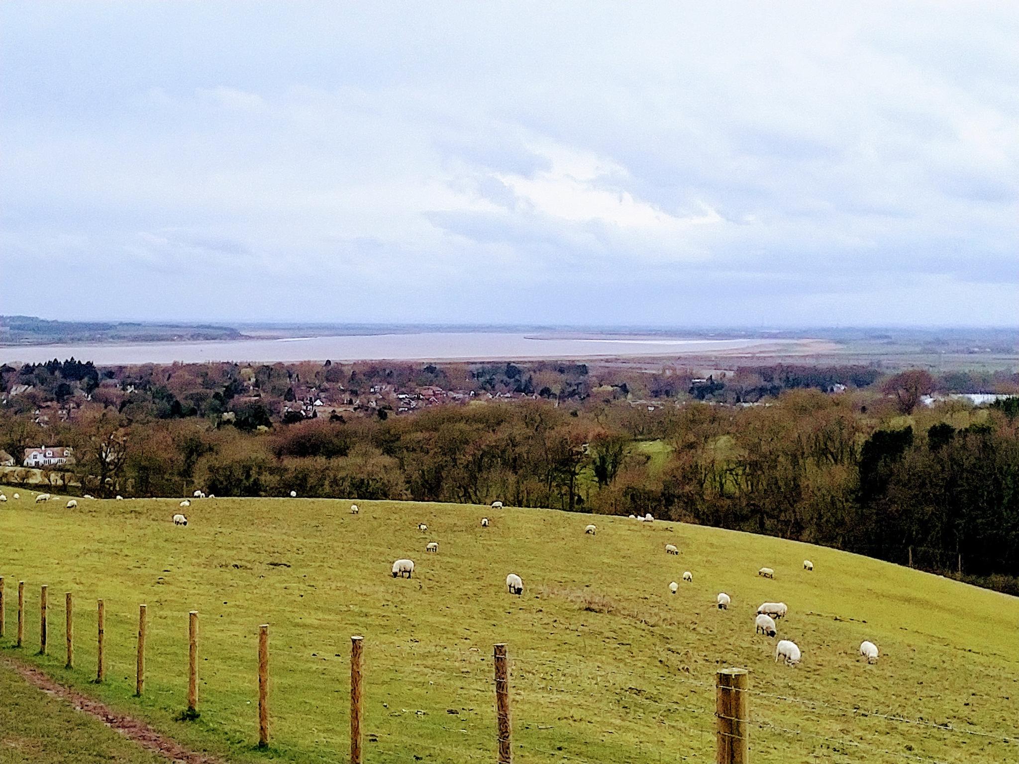 Trail Parallel To Elloughton Dale: Wanderungen Und Rundwege | Komoot