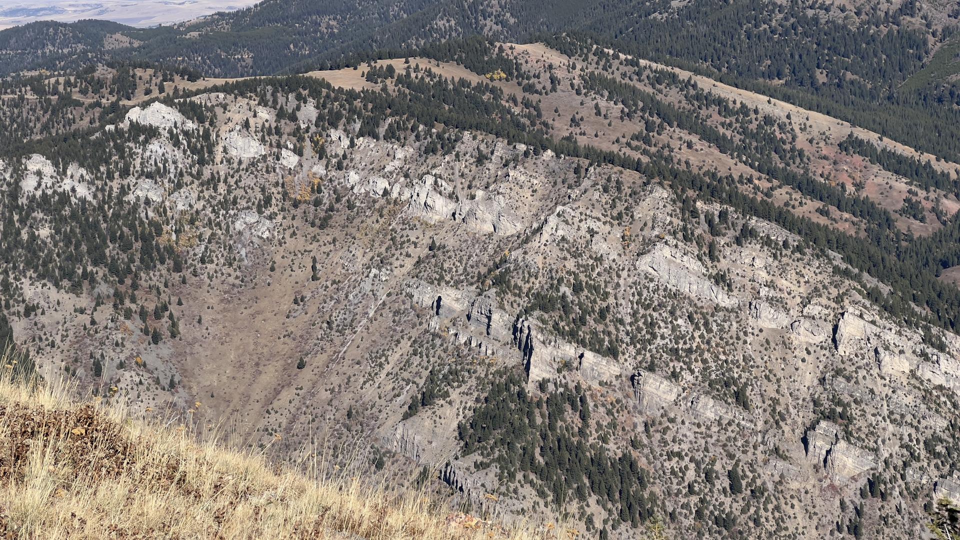 Expansive view of rugged, forested mountain slopes under bright daylight.