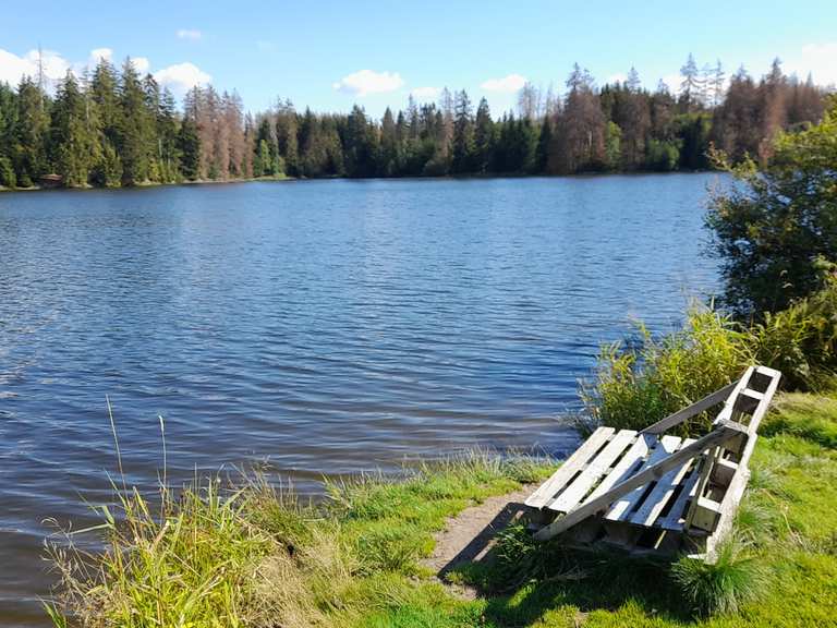 Ziegenberger Teich Bärenbrucher Teich (HWN 137) Rondje vanuit