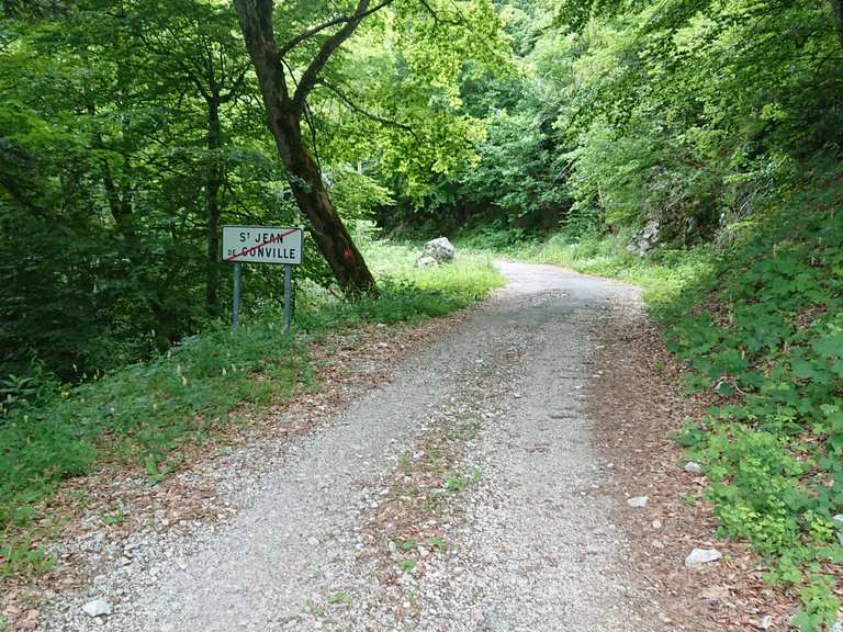 Route forestière le long de la haute chaîne du Jura Itinéraires vélo et carte Komoot
