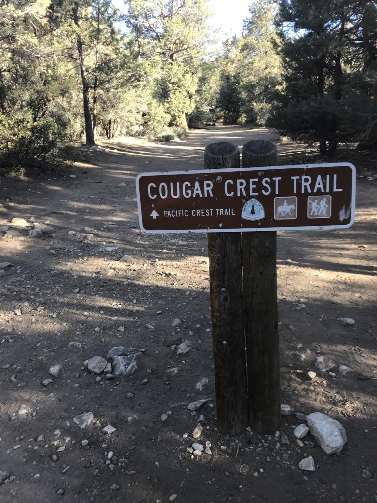 A trail sign on a wooden post on a sunlit dirt path in a forest.