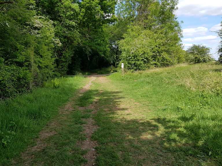 Beggar Bush Lane Mountain Bike Trails & Tracks | Komoot