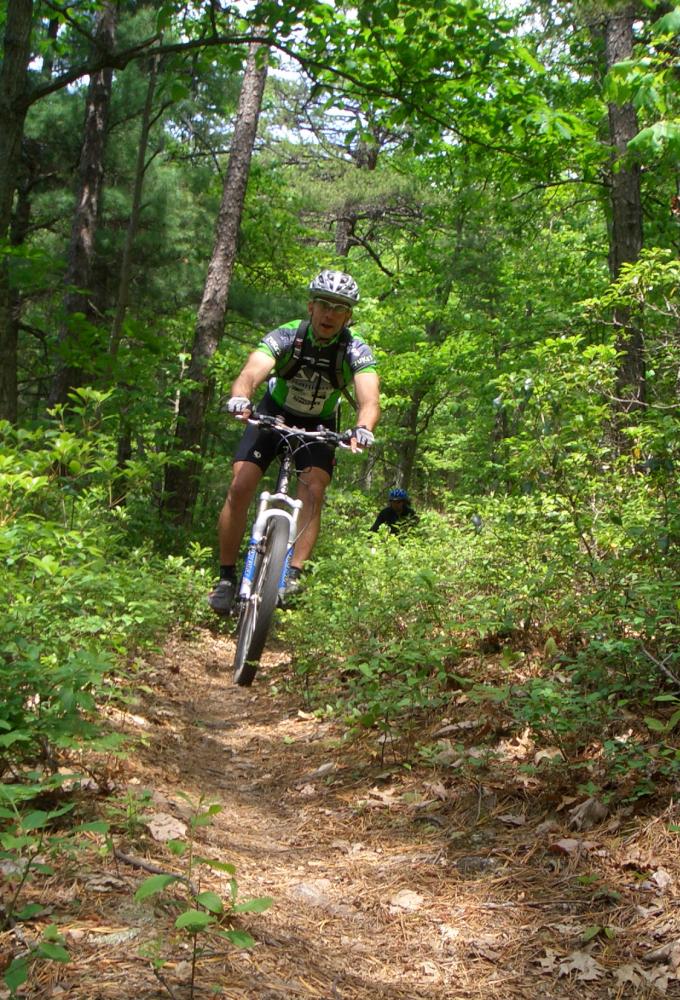 A mountain biker rides a sunlit dirt path in a lush green forest.