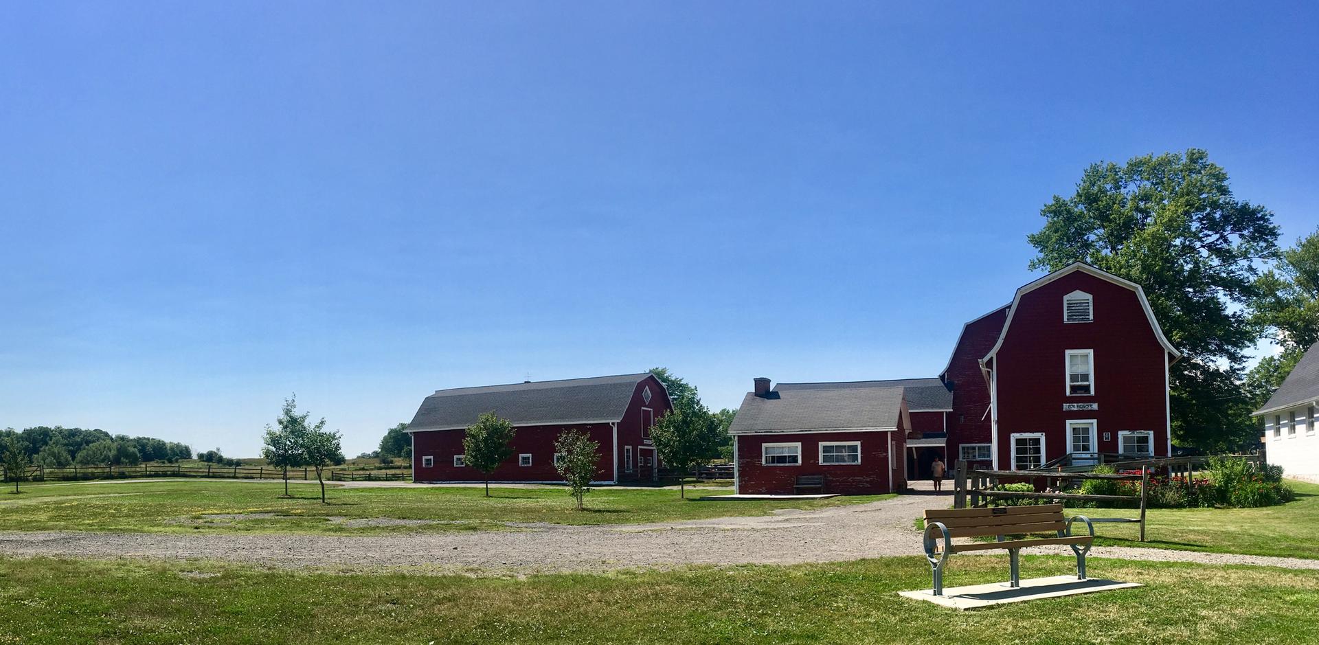 Red farm buildings and green fields under a clear blue sky on a sunny day.