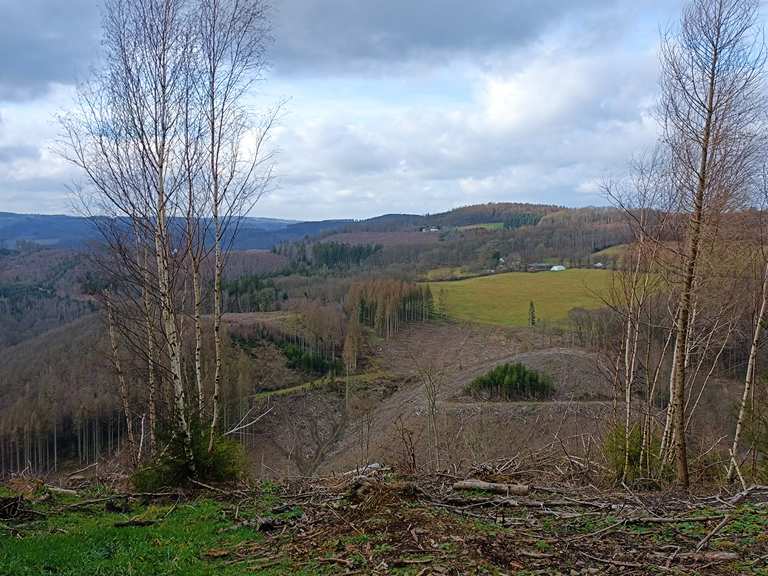 Toter Wald Wanderungen und Rundwege komoot