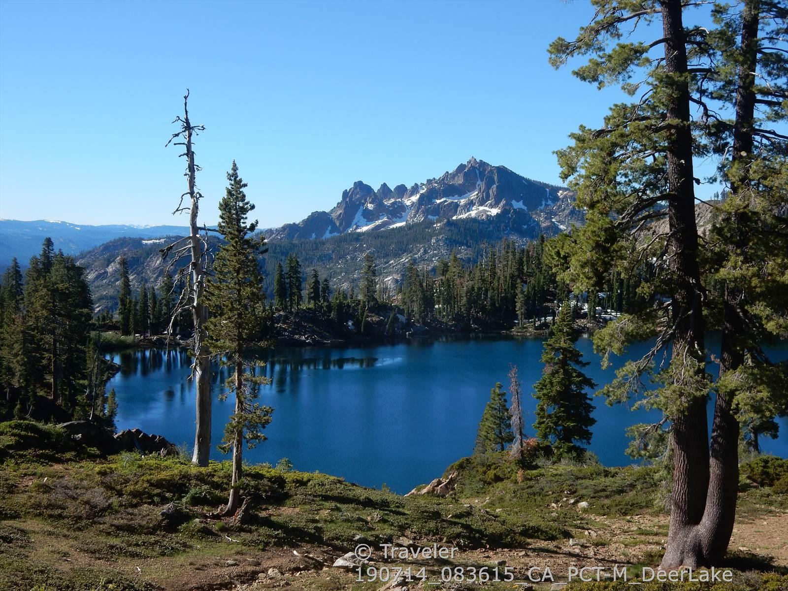 A serene blue lake is framed by tall pine trees and distant snow-capped mountains.