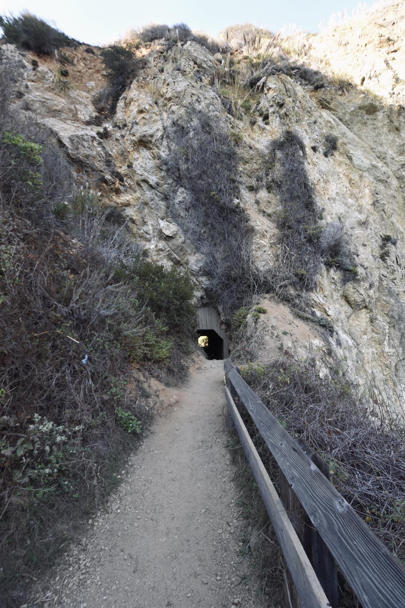 A dirt path leads into a dark tunnel through a rocky cliff.