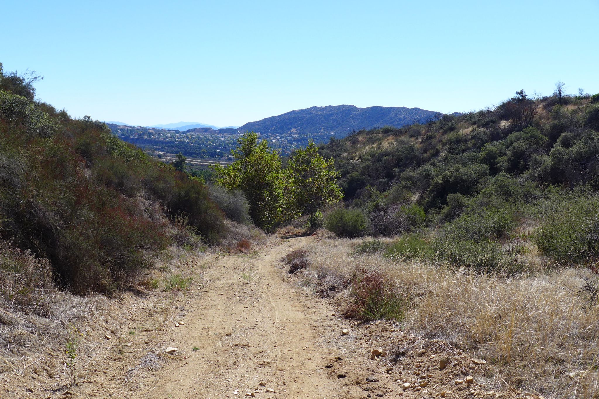 Dirt path through a dry, brushy canyon with distant hills under a clear sky. - Wildwood Canyon Ridgeline Loop
