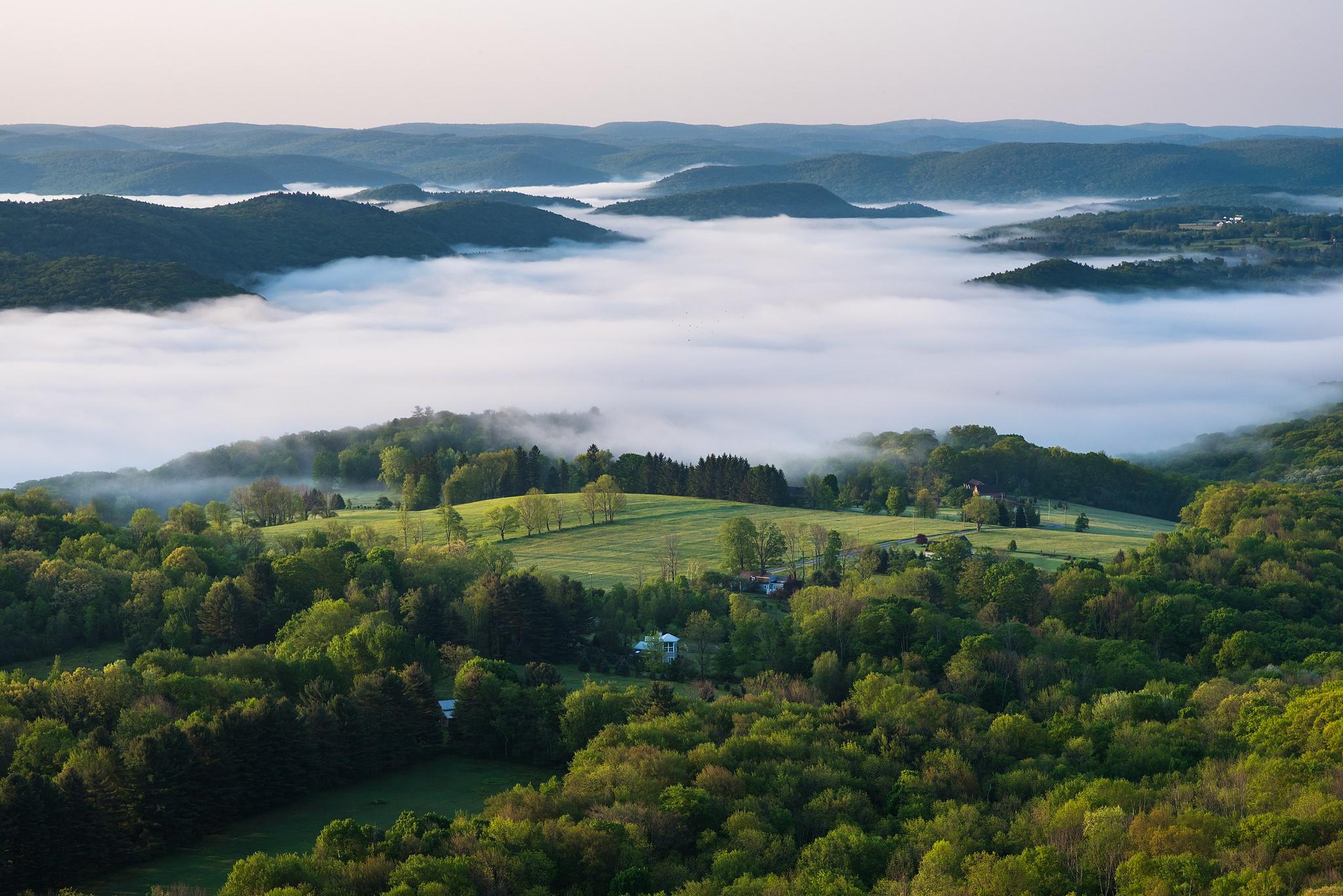 Morning fog fills a valley surrounded by green hills and forests.