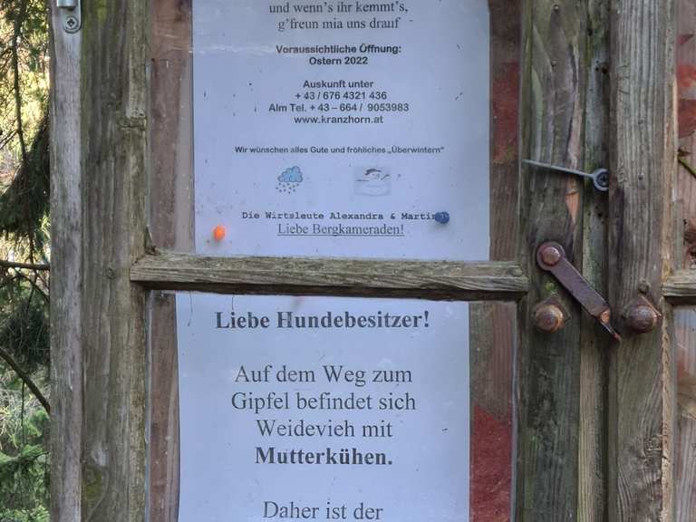 Auf den Kranzhorn Routes for Walking and Hiking | Komoot