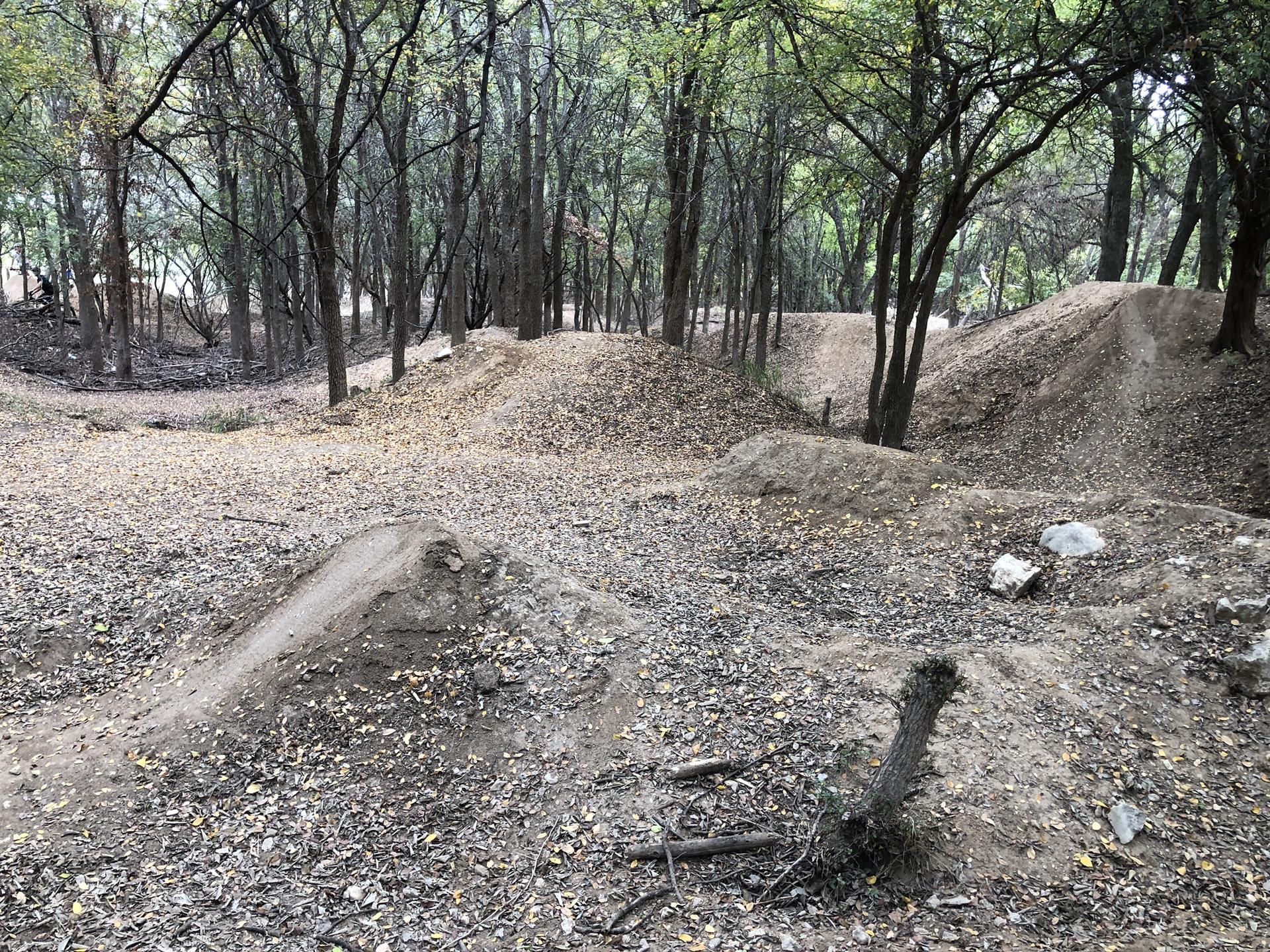 Dirt mounds and jumps in a wooded area, ideal for biking.