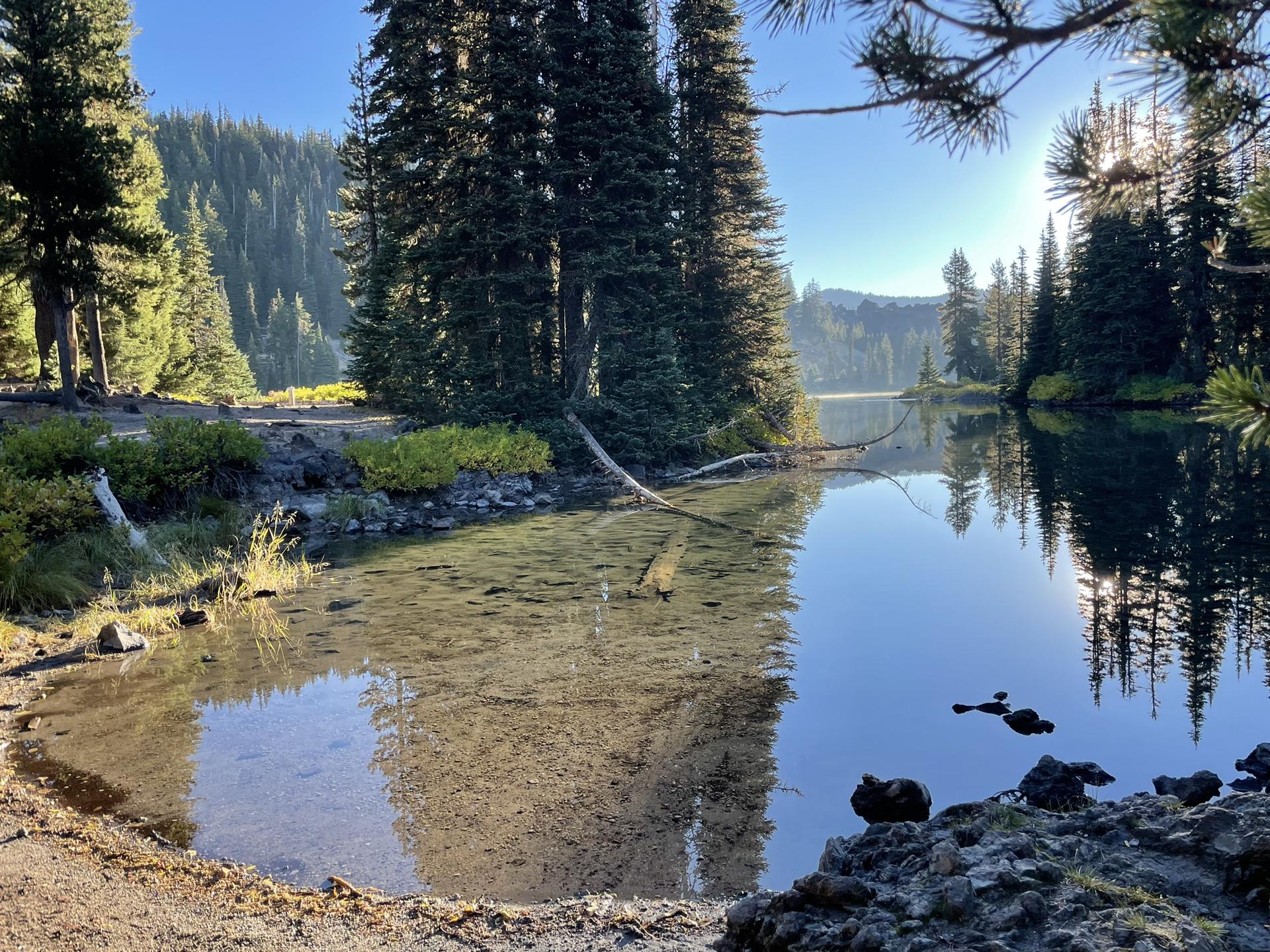 Sunlight illuminates a calm lake surrounded by dense evergreen trees.