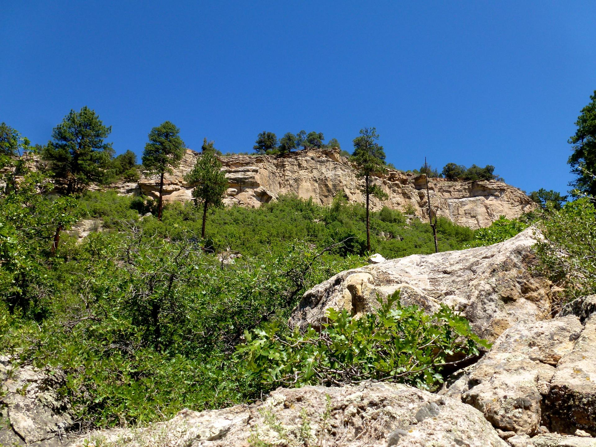 A steep rocky cliff face covered in green trees under a clear blue sky.
