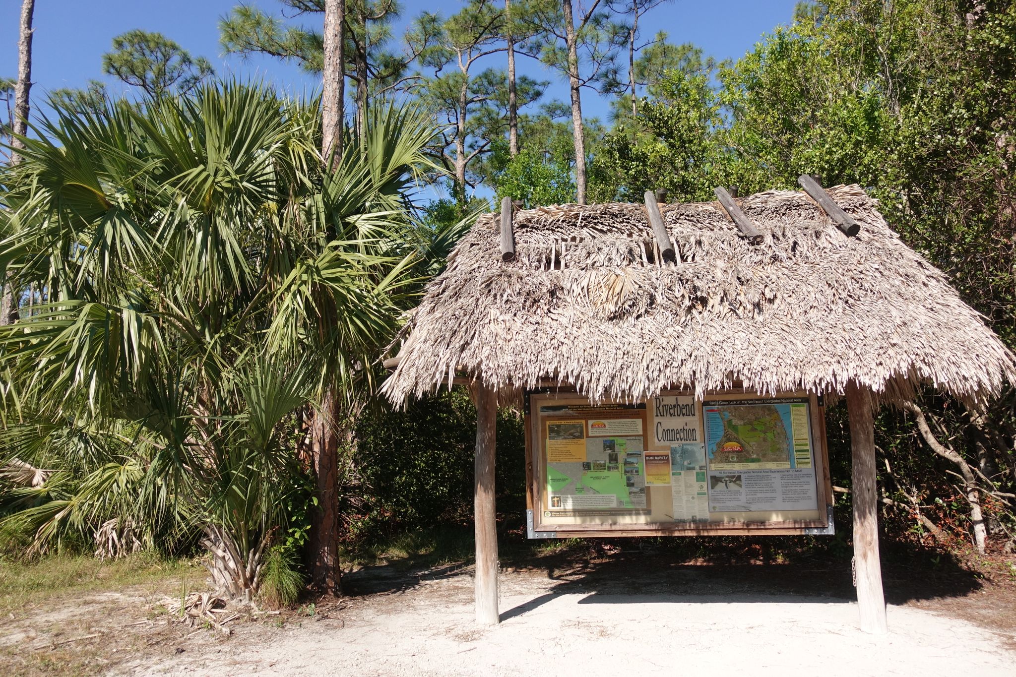 Thatched roof information kiosk under sunny skies, surrounded by palms and pines. - Ocean to Lake Trail Loop