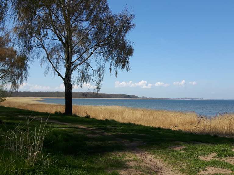 Sportplatz in Riemserort Wanderungen und Rundwege komoot